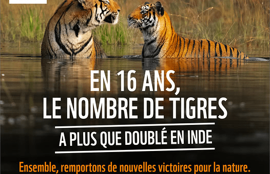 Image (6)