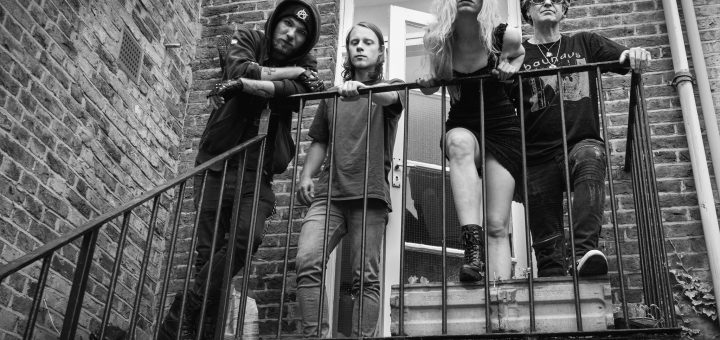 Healthy junkies
