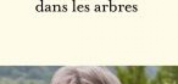 Herve villard