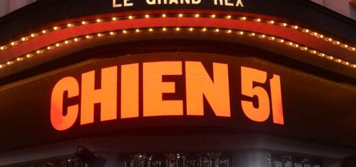 Chien 51.01