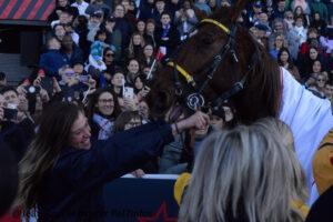 Course de vincennes 2026 hippodrome.039