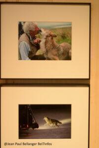 Jean jacques annaud esposition 012.jpeg