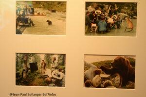 Jean jacques annaud esposition 013.jpeg