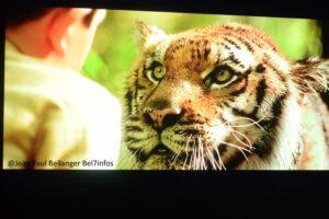 Jean jacques annaud esposition 016.jpeg