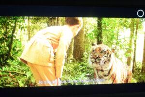 Jean jacques annaud esposition 017.jpeg