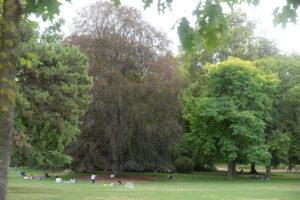 DSC